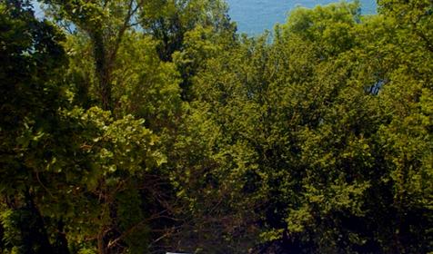 Пансионат Южная ночь. Сочи. Вардане. Солярий