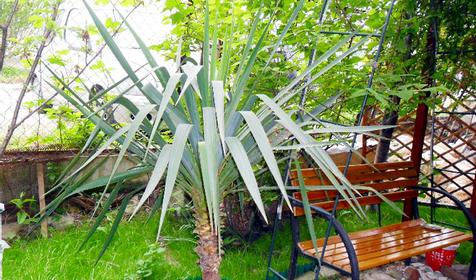 Летние домики в центре. Геленджик.