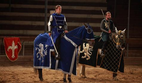 Рыцарский турнир. Компания Парк-Экстрим, г. Анапа, п. Сукко