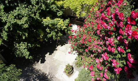 Территория. Гостевой дом Федор, г. Анапа, п. Витязево