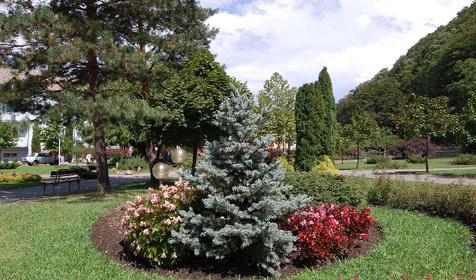 Территория. База отдыха Агой, Туапсинский район, п. Агой