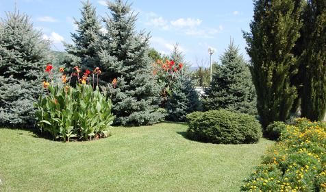 Территория. База отдыха Агой, Туапсинский район, п. Агой