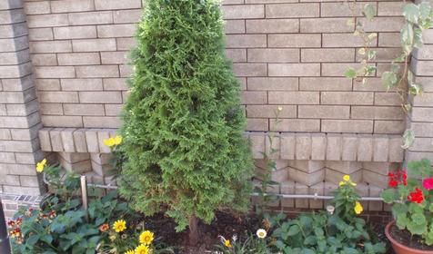 Отель Эдельвейс, г. Сочи, Адлерский район