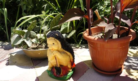 Гостевой дом Антика, п. Витязево