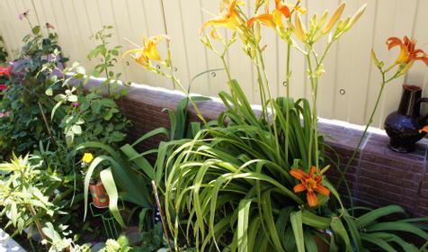 Гостевой дом Антика, п. Витязево