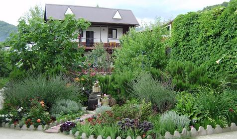 Гостевой дом Зеленый дворик, п. Агой