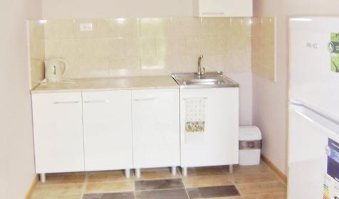 Кухня в коттедже. Гостевой дом Зеленый дворик, п. Агой