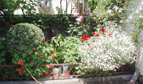 Частный дом Альбина, г. Сочи, Адлерский район