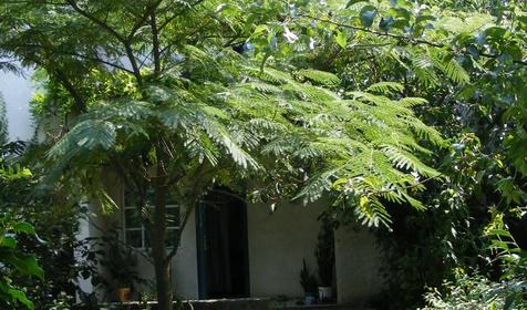 Территория. Частное домовладение Дом у моря. Темрюкский район, п. Сенной