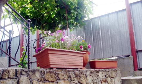 Гостиница Александра, г. Анапа, п. Витязево