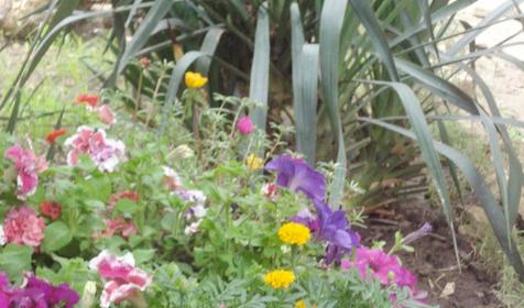 Гостиница Александра, г. Анапа, п. Витязево