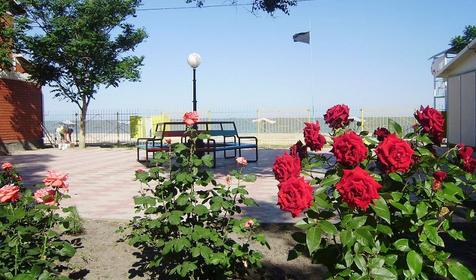 Территория базы отдыха. База отдыха Прибой, г. Ейск