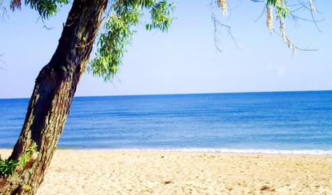 Восточная сказка. База отдыха. Темрюкский р-н, ст. Голубицкая