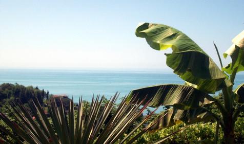 Частная гостиница Авангард, г. Сочи, Лоо