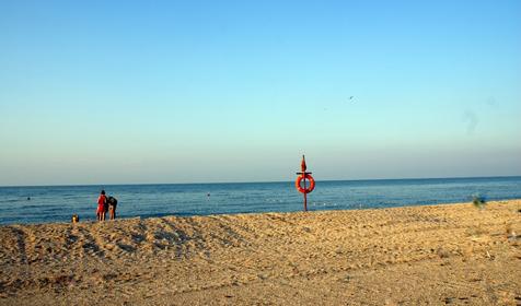 Роза ветров