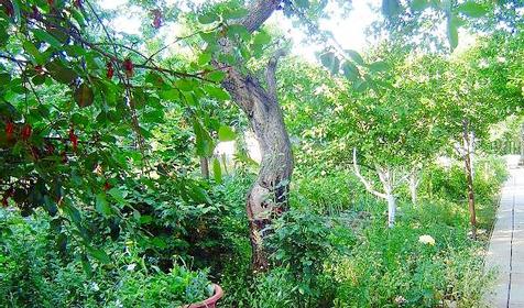 Частный гостиный двор У Филипповны, Ейск