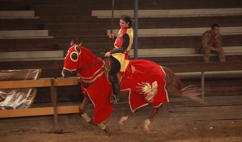 Рыцарский турнир. Компания Парк-Экстрим, г. Анапа, п. Сукко