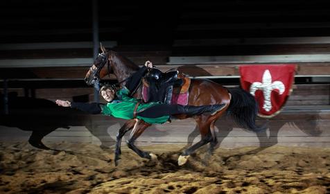 Рыцарский турнир. Компания Парк-Экстрим, г. Анапа, п. Сукко