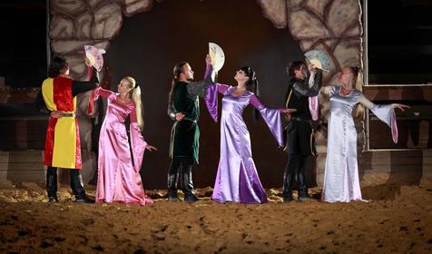 Рыцарский турнир. Компания Парк-Экстрим, г. Анапа, п. Сукко