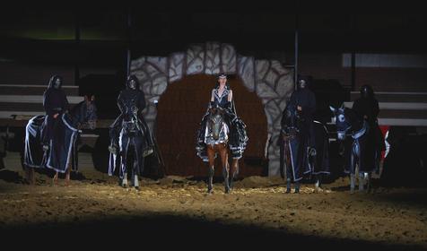 Рыцарский турнир. Компания Парк-Экстрим, г. Анапа, п. Сукко