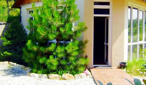 Гостевой дом Морской отдых, Туапсинский район, п. Ольгинка