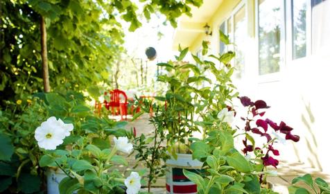 Мини-гостиница Акрополь, Анапский р-н, п. Витязево