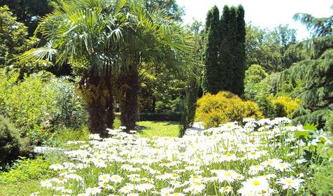 Музей ландшафтного образа. Санаторий Белая Русь, Туапсинский район, п. Майский