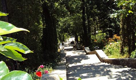 Музей ландшафтного образа. Санаторий Белая Русь, Туапсинский район, п. Майский