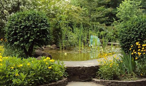 Музей ландшафтного образа. Санаторий Белая Русь, Туапсинский район, п. Майский