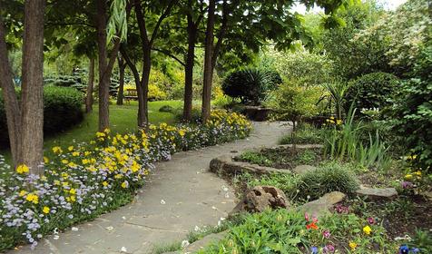 Музей ландшафтного образа. Санаторий Белая Русь, Туапсинский район, п. Майский