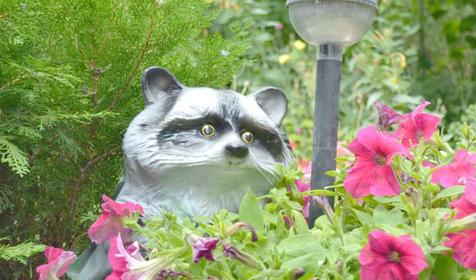 Территория. Гостевой дом Изумруд, г. Новороссийск, с. Дюрсо