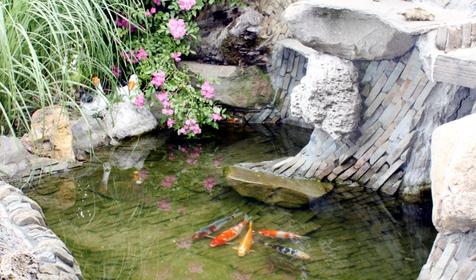 Гостевой дом Наталия, г. Сочи, п. Аше