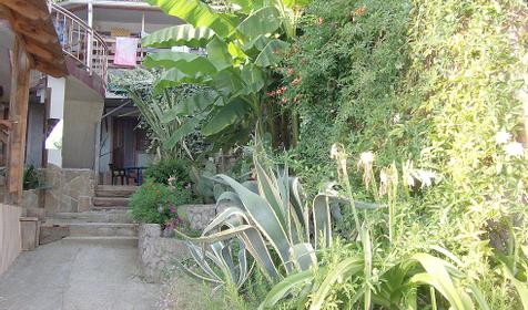 Гостевой дом Берег, Лазаревский район, п. Лоо