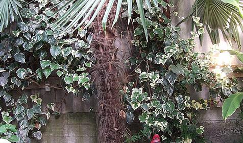 Гостевой дом Берег, Лазаревский район, п. Лоо