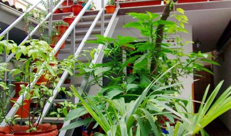 Частный дом В доме у Юлии, г. Сочи, Адлерский р-н