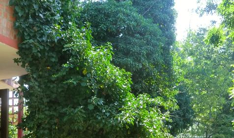 База отдыха У реки, Туапсинский район, п. Лермонтово