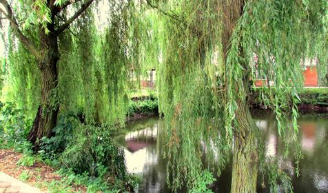 Рыболовная база "Удача рыбака", п. Украинский