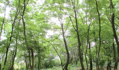 Рыболовная база "Удача рыбака", п. Украинский