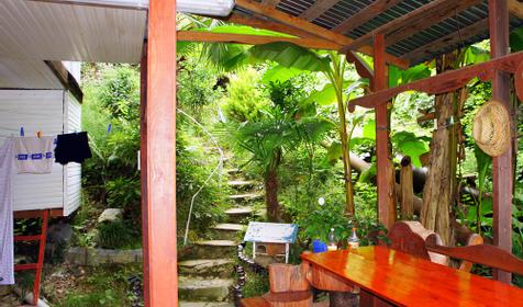 Территория. Гостевой дом Андрей, п. Хоста