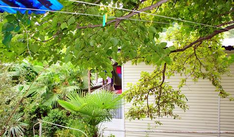 Гостевой дом Андрей, п. Хоста