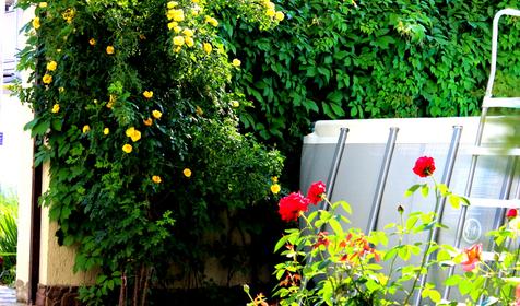 Гостевой дом У трех гор, г. Геленджик, с. Кабардинка