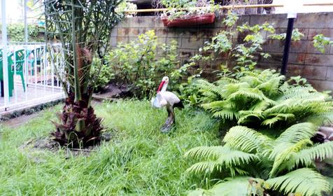 Частный дом Отдых у Марины, г. Сочи, Адлер