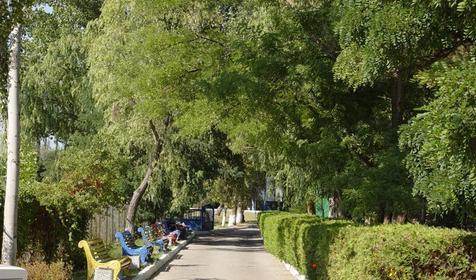 Санаторий Янтарь, г. Анапа