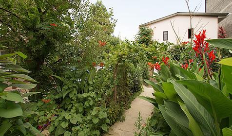 Гостевой дом В гостях у сказки, г. Геленджик, п. Архипо-Осиповка