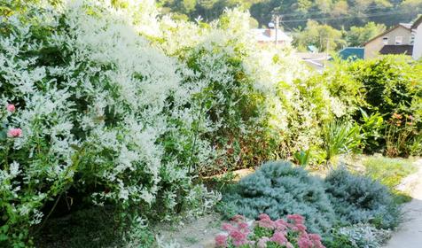 Гостевой дом Виктория-отдых, п. Ольгинка