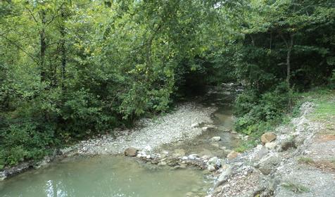 Гостевой дом Ирина, п. Прасковеевка