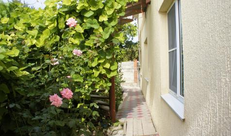 Гостевой дом Людмила, г. Геленджик, п. Архипо-Осиповка