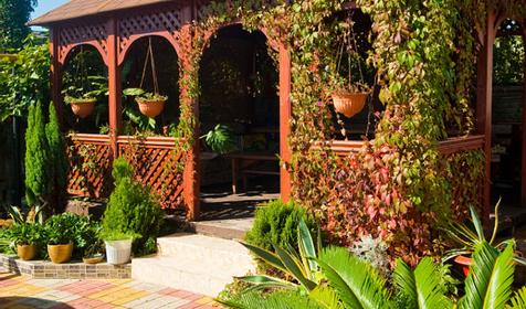 Зона отдыха. Отель Эдельвейс, г. Сочи, Адлерский район