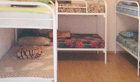 Номер. Гостевой дом Лазурный, г. Новороссийск