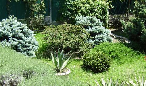 Гостевой дом Кубаночка, Туапсинский район, с. Ольгинка